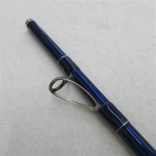 ０５スカイキャスター３０－４０５